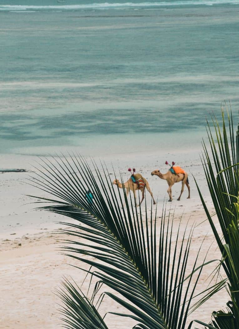 15+ Amazing Things to Do in Mombasa