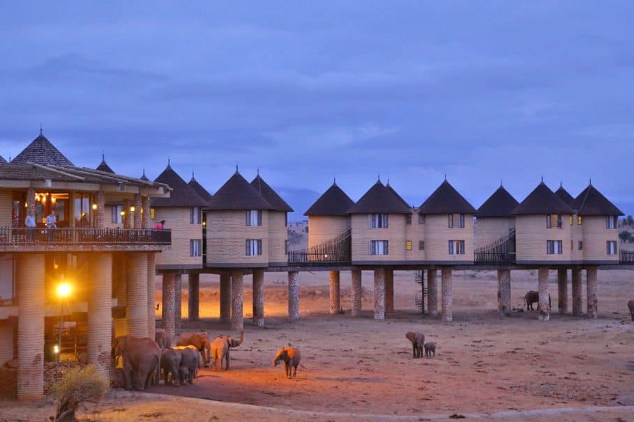 Unique Hotels In Kenya- Salt Lick Safari Lodge