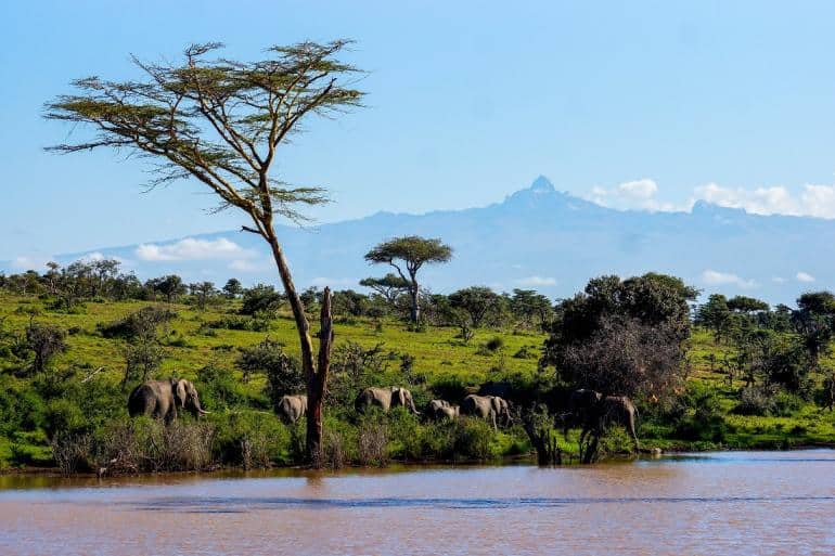 Bucket List Experiences in Kenya - Mt. Kenya
