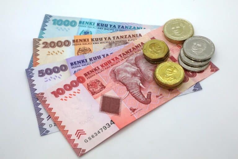 Currency in Zanzibar: What Currency is used in Zanzibar?